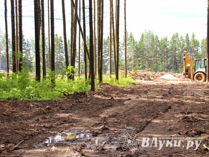 Строительство велоцентра в Великих Луках: склад, спортплощадки, велодорожки и земляника (ФОТО)