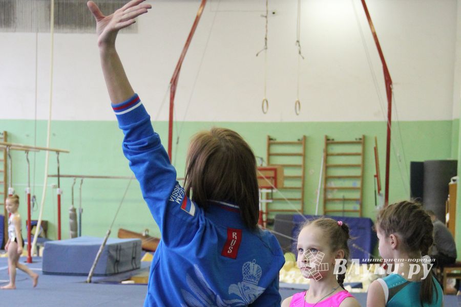 В Великих Луках прошло Первенство Области по спортивной гимнастики (фото)