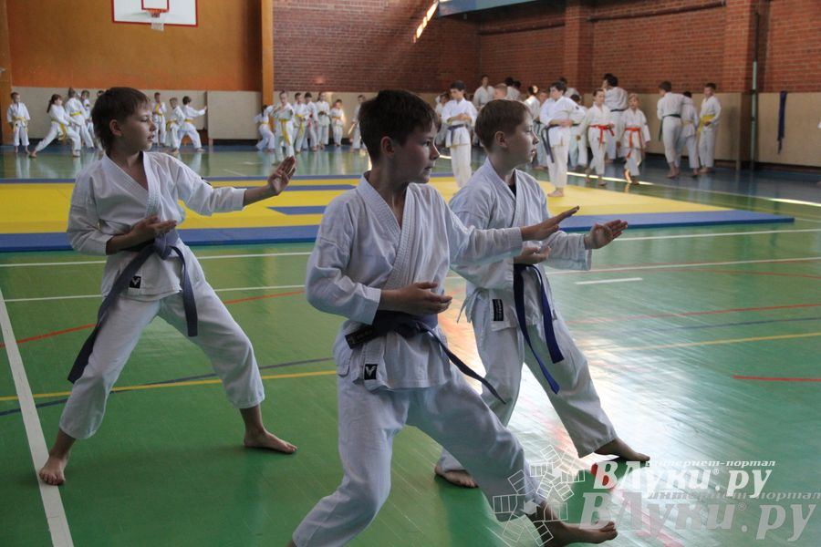 Турнир по каратэ