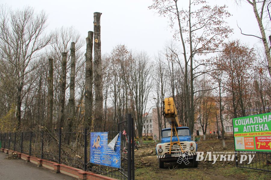 Возле железнодорожной больницы облагораживают сквер (ФОТО)