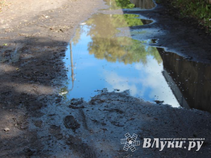 Великие Луки после дождичка в четверг (ФОТО)