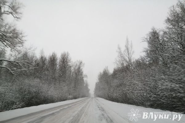 Прогноз погоды на 8 декабря в Великих Луках