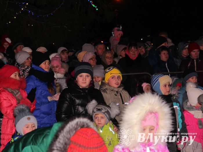 В Великих Луках зажгли Ёлку (ФОТО)
