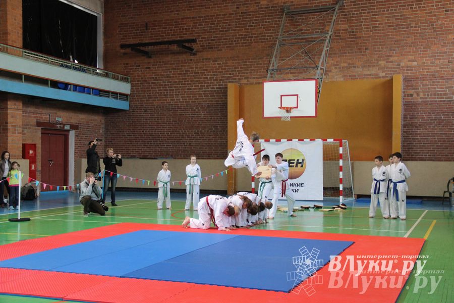 В Великих Луках прошло Первенство по тхэквондо (фото)