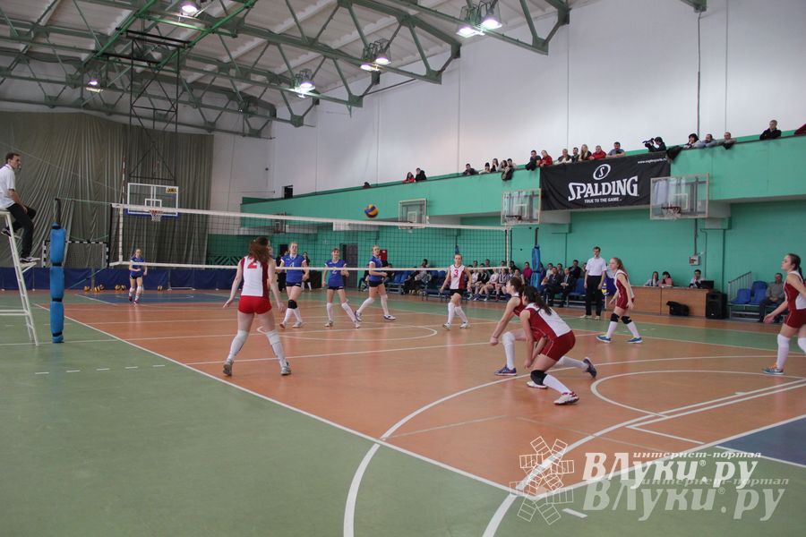 В Великих Луках прошли международные соревнования по волейболу (фото)