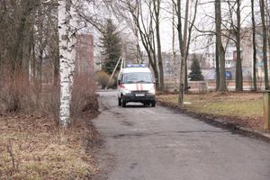 В Великих Луках в Парке культуры и отдыха полным ходом идёт подготовка празднования Масленицы (фото)