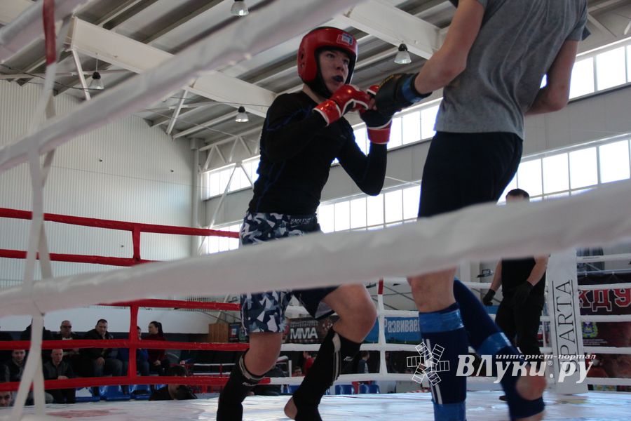 В Великих Луках проходит открытый кубок по смешанному боевому единоборству ММА (ФОТО) (12+)