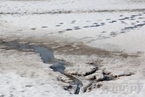 Весенний день