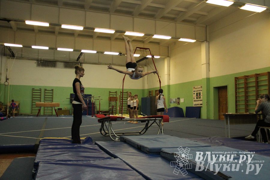 В Великих Луках состоялось Первенство по командной гимнастике (фото)