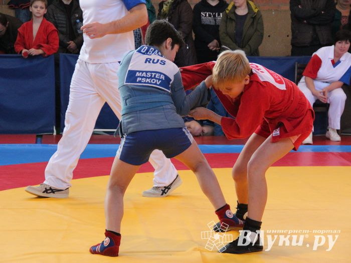 Великолучане завоевали награды турнира по самбо «Память» (ФОТО)