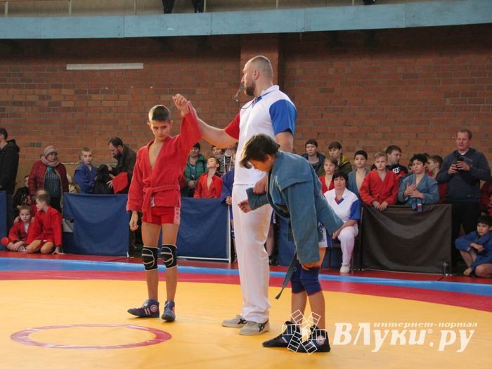 Великолучане завоевали награды турнира по самбо «Память» (ФОТО)