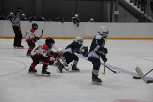 Товарищескике хоккейные игры между детскими командами прошли в Великих Луках (ФОТО)