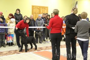 Всероссийская выставка собак «Великие Луки — 2014»