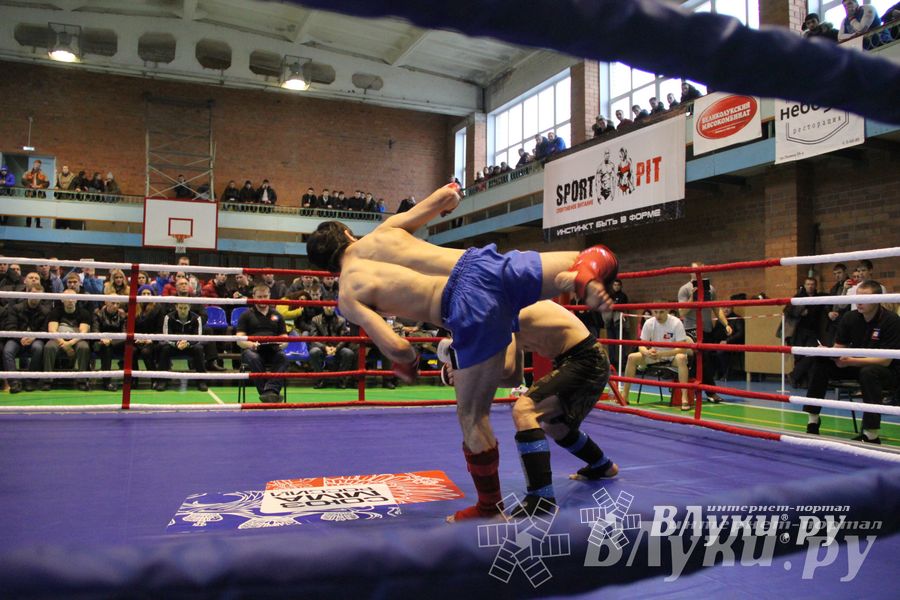 В Великих Луках прошел межрегиональный Открытый Кубок по смешанному боевому единоборству (фото)