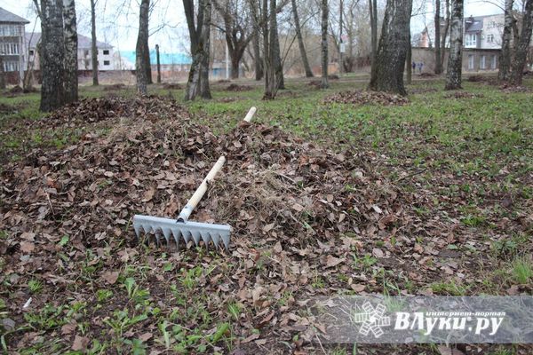 В Великих Луках пройдёт месячник по благоустройству