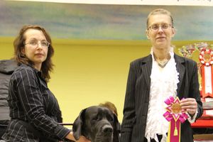 Всероссийская выставка собак «Великие Луки — 2014»