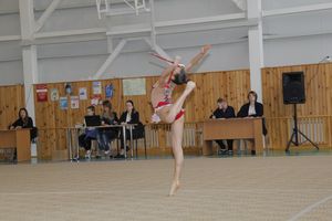 В Великих Луках прошло Открытое первенство города по художественной гимнастике (ФОТО)