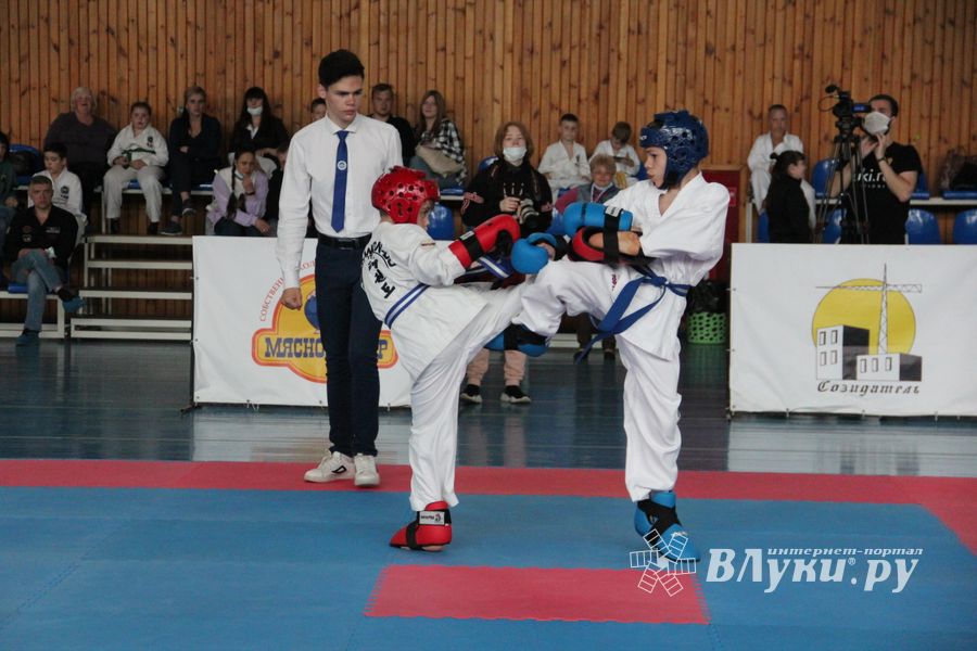 В Великих Луках состоялся Чемпионат и первенство Псковской области по тхэквондо МФТ (ФОТО)