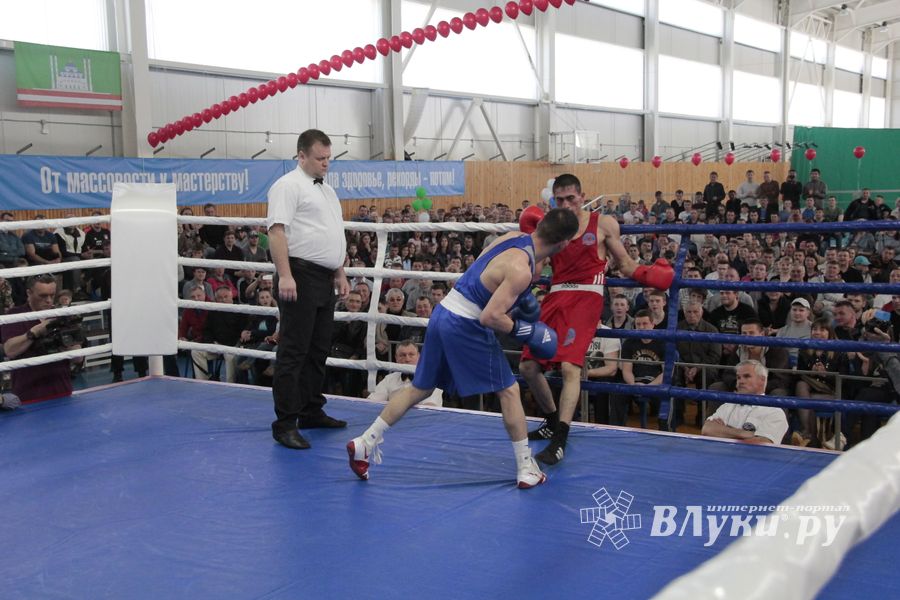 Матчевая встреча по боксу Великие Луки —Псков — Грозный (ФОТО)