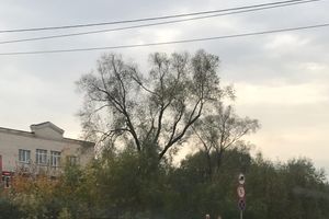 На проспекте Ленина произошло ДТП (ФОТО)