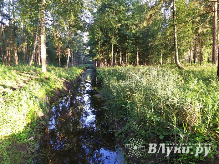 В «Парке без границ» появляются беседки (ФОТО)