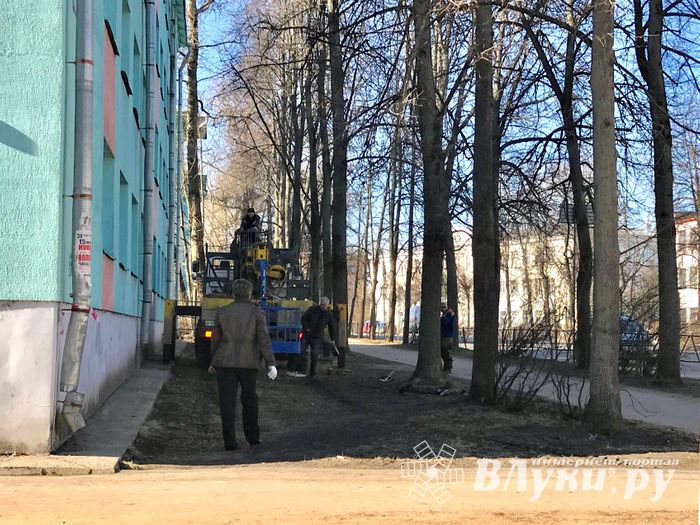 В Великих Луках обидели шуфитистов (ФОТО)