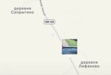 На трассе Порхов-Локня замечена рысь (ВИДЕО)