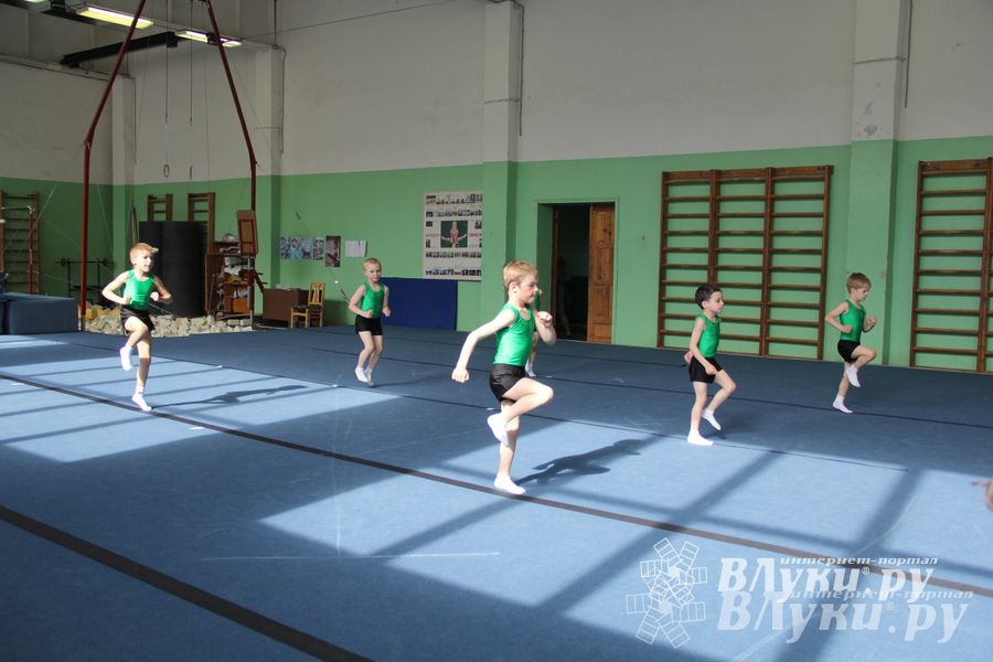 В Великих Луках состоялось Первенство по командной гимнастике (фото)