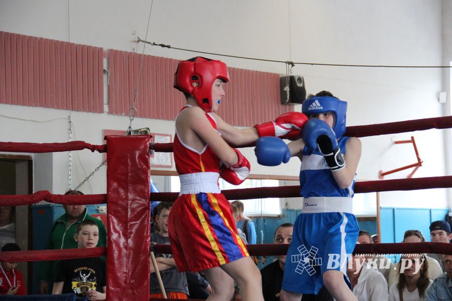 В Великих Луках прошло Первенство города по боксу (ФОТО)