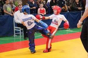 В Великих Луках прошли соревнования по кикбоксингу (ФОТО)