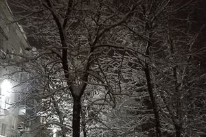 ©ВЛуки.ру
