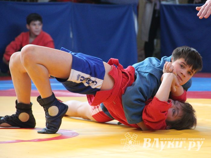 Великолучане завоевали награды турнира по самбо «Память» (ФОТО)