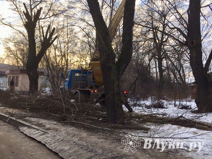 В Великих Луках удаляют угрожающие гражданам ветви (ФОТО)