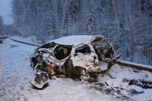 Фото: УМВД России по Псковской области