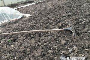 © ВЛуки.ру