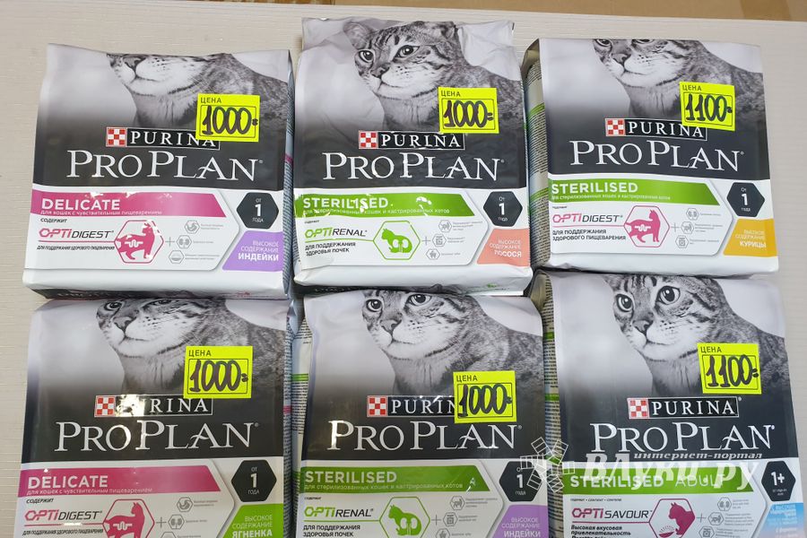 1 марта - ваш кот заслуживает подарок