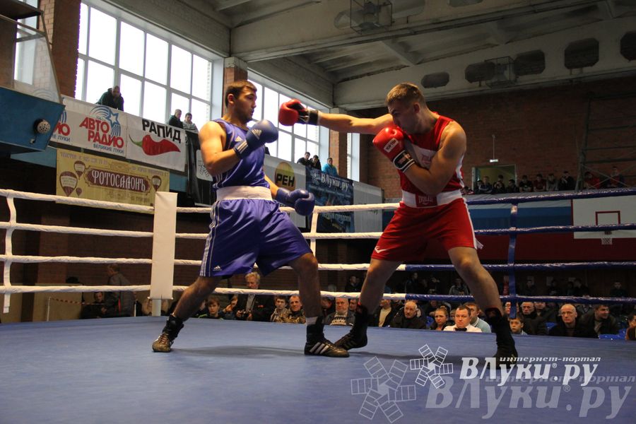 16-й Международный турнир по боксу (фото)