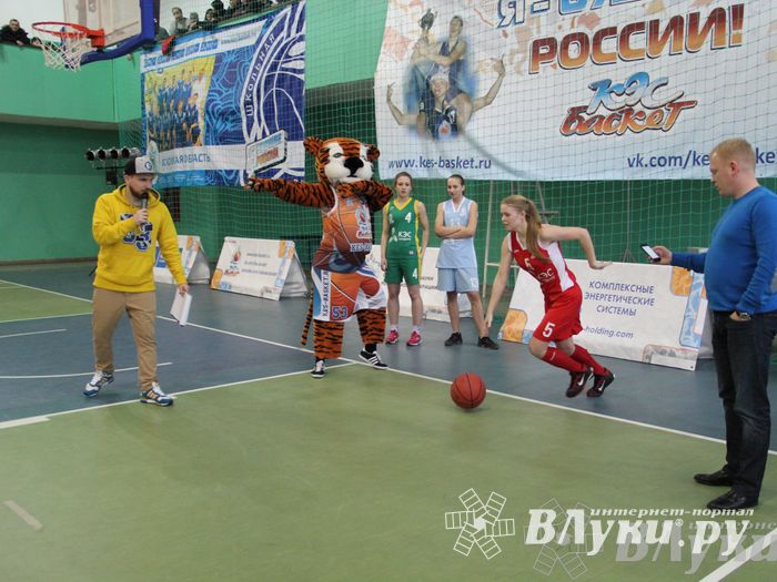 Чемпионат ШБЛ «КЭС-БАСКЕТ» сезона 2013-2014 гг. Псковской области