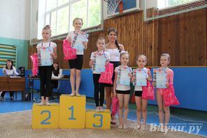 В Великих Луках прошло Первенство по художественной гимнастике (фото)