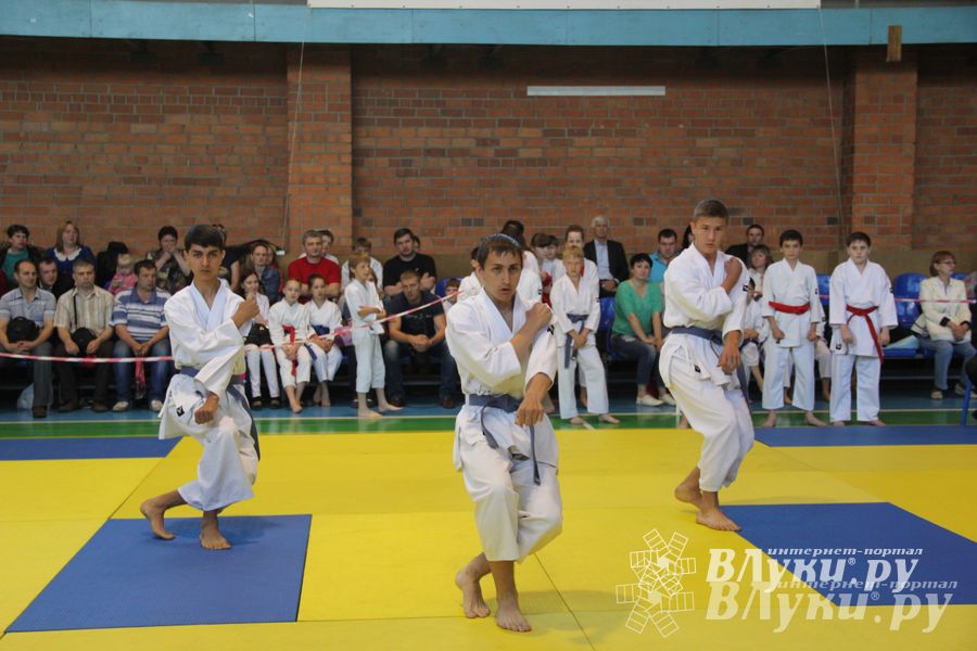 Великолучане стали победителями турнира по каратэ «Неприкосновенный запас, дети — Отчизны 2015» (фото)