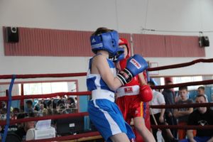 В Великих Луках прошло Первенство города по боксу (ФОТО)