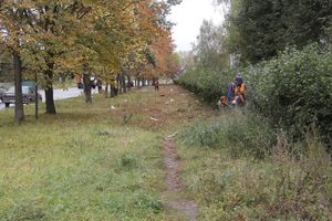 Октябрь: в Великих Луках продолжается покос (ФОТО)