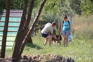 День открытых дверей на спортивно-дрессировочной площадке