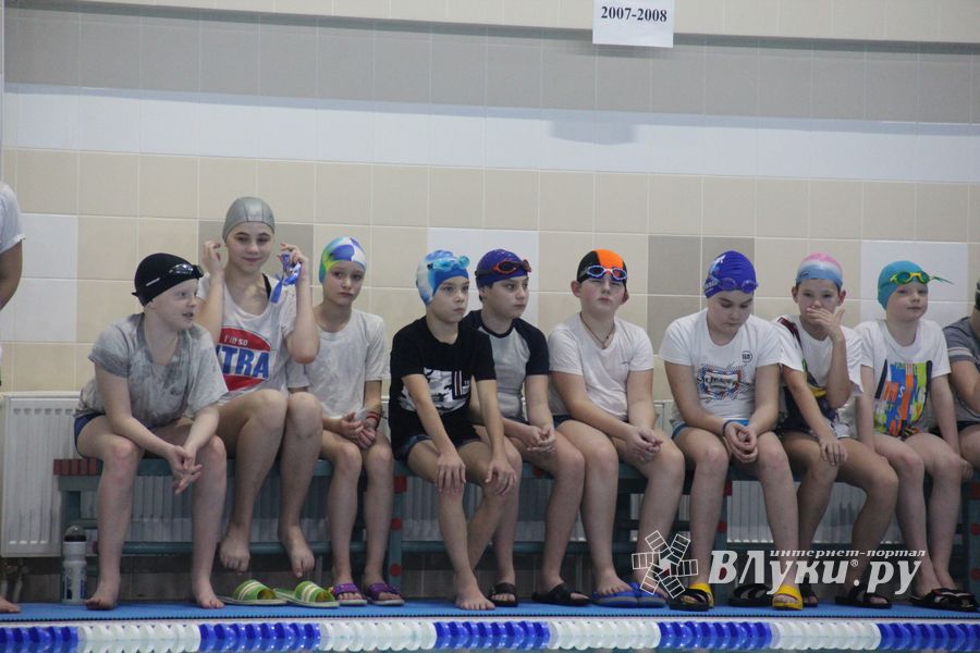 В Великих Луках прошло Первенство города по плаванию (ФОТО)