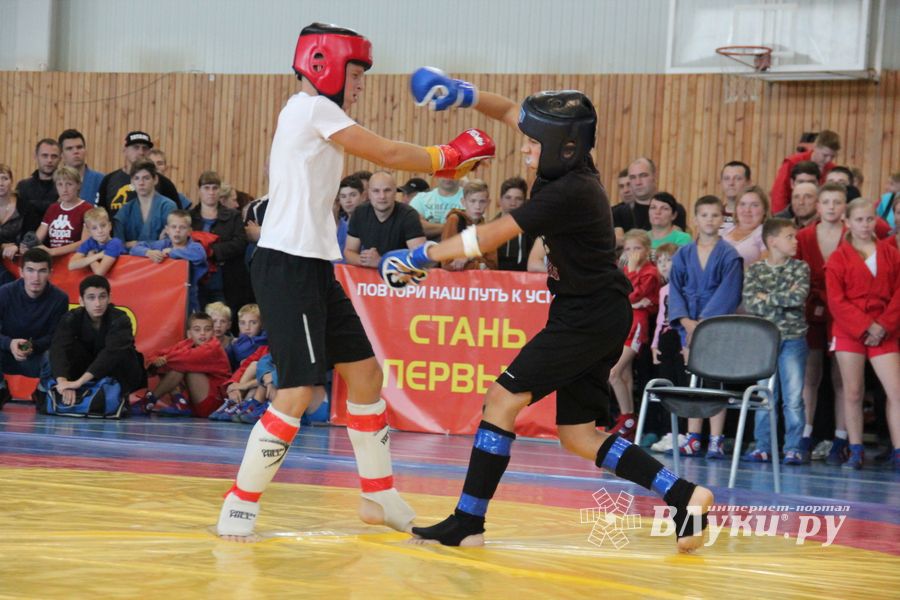 1-й Фестиваль боевых искусств состоялся в Великих Луках  (ФОТО)