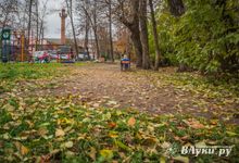 Прогноз погоды в Великих Луках на 10 октября