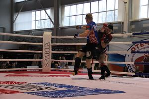 Открытый кубок по смешанному боевому единоборству ММА прошел в Великих Луках (ФОТО)