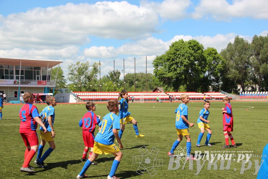 «Локобол-2013» в Великих Луках