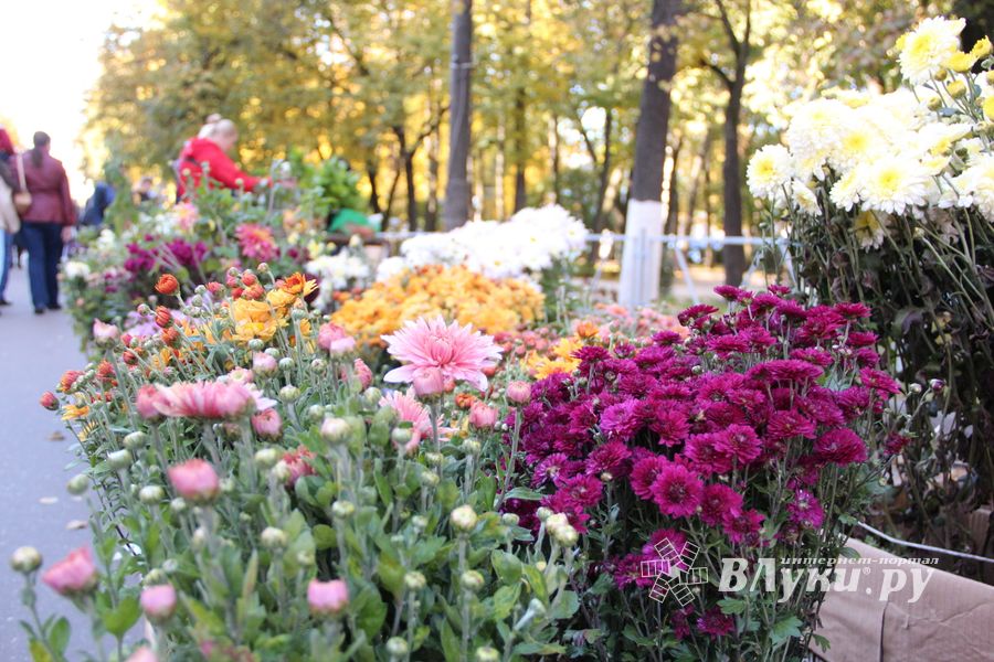 Торговая ярмарка «Осень-2016» прошла в Великих Луках (ФОТО)