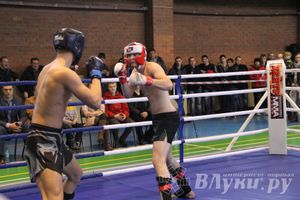 В Великих Луках прошел межрегиональный Открытый Кубок по смешанному боевому единоборству (фото)